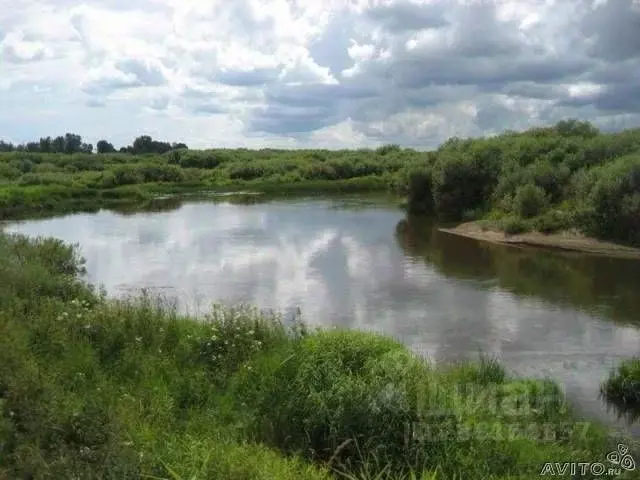 Участок в Псковская область, Пушкиногорье городское поселение, д. ... - Фото 0