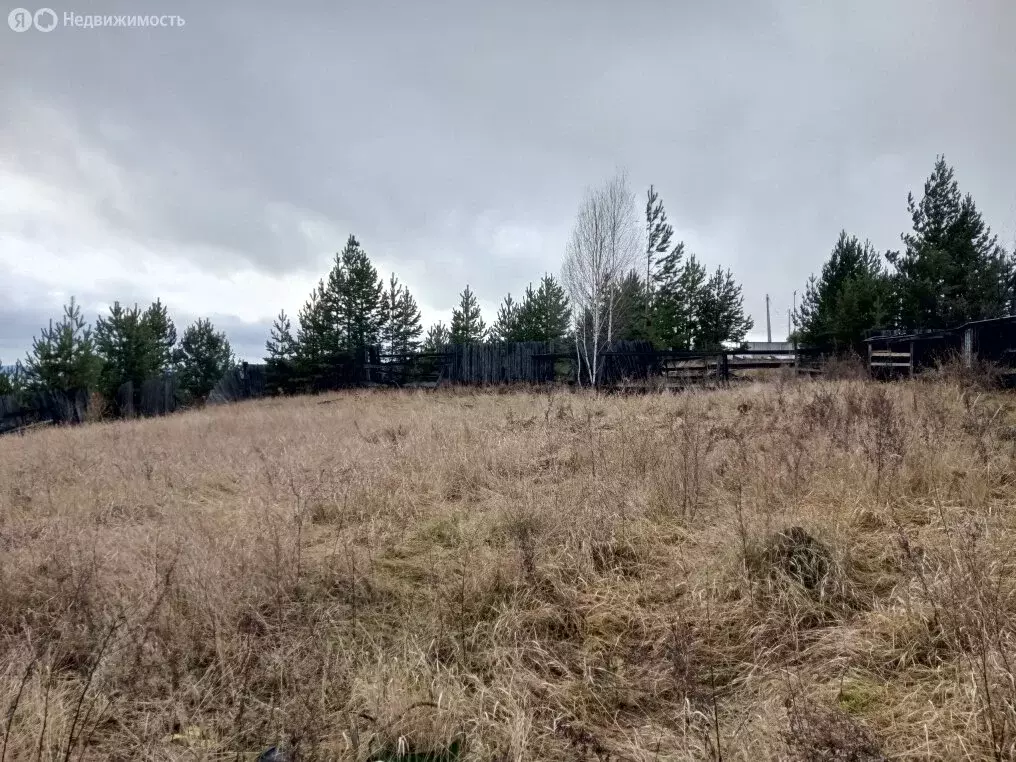 Участок в Иркутская область, Усть-Илимский муниципальный округ, ... - Фото 2