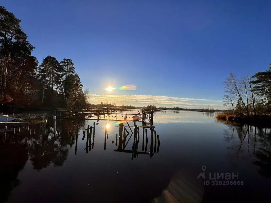 Участок в Ленинградская область, Приозерский район, Ларионовское ... - Фото 1