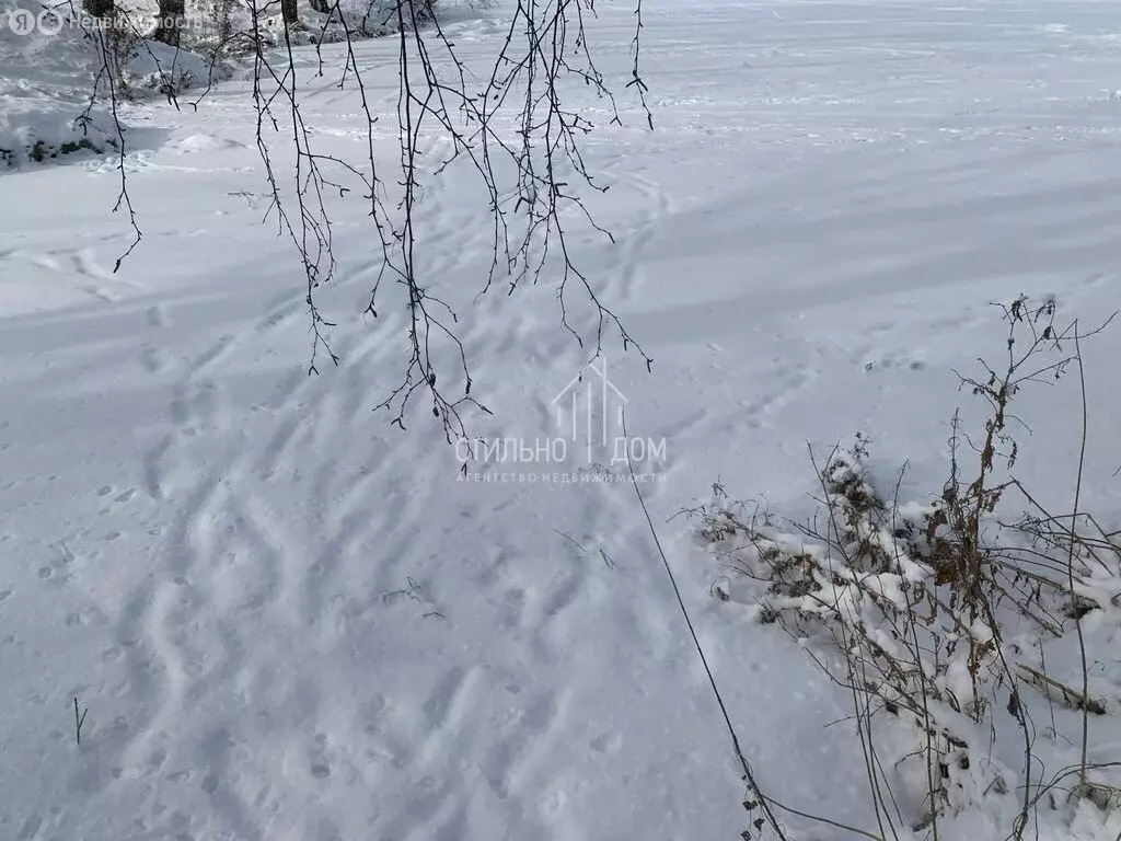 Участок в Нижегородская область, Богородский муниципальный округ, ... - Фото 0