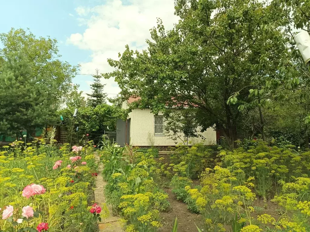 Дом в Ставропольский край, Ставрополь Кравцово садовое товарищество, ... - Фото 0