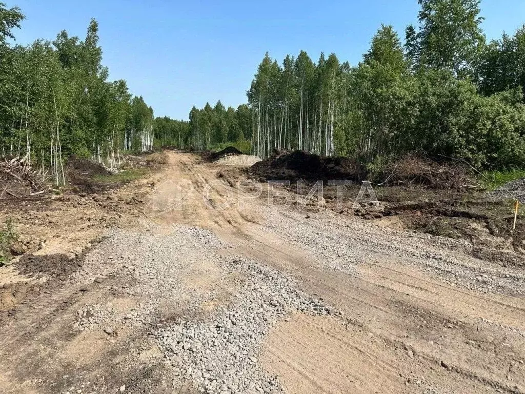 Участок в Тюменская область, Нижнетавдинский район, Строитель ТСН  ... - Фото 0