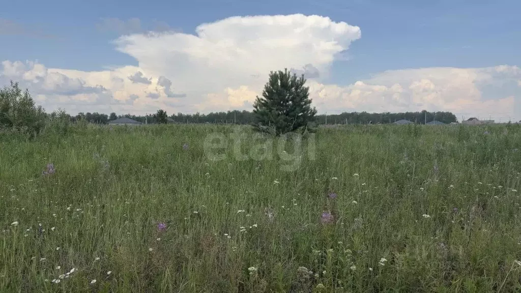 Участок в Тюменская область, Тюменский район, с. Каменка  (10.0 сот.) - Фото 0