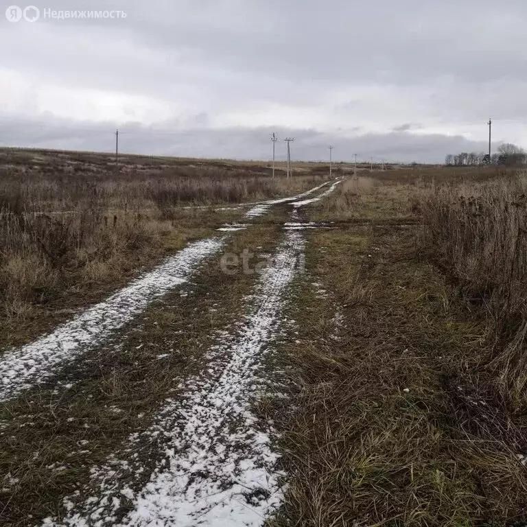 Участок в Брянский район, Отрадненское сельское поселение, село ... - Фото 0