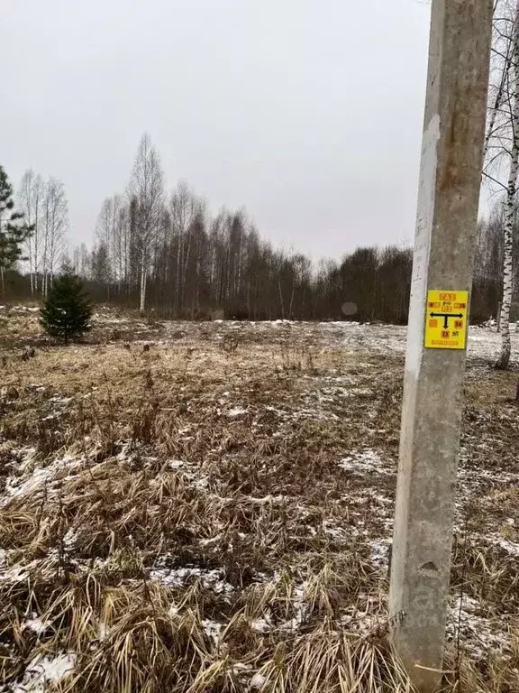 Участок в Смоленская область, Ярцево ул. Радужная, 28 (12.0 сот.) - Фото 2