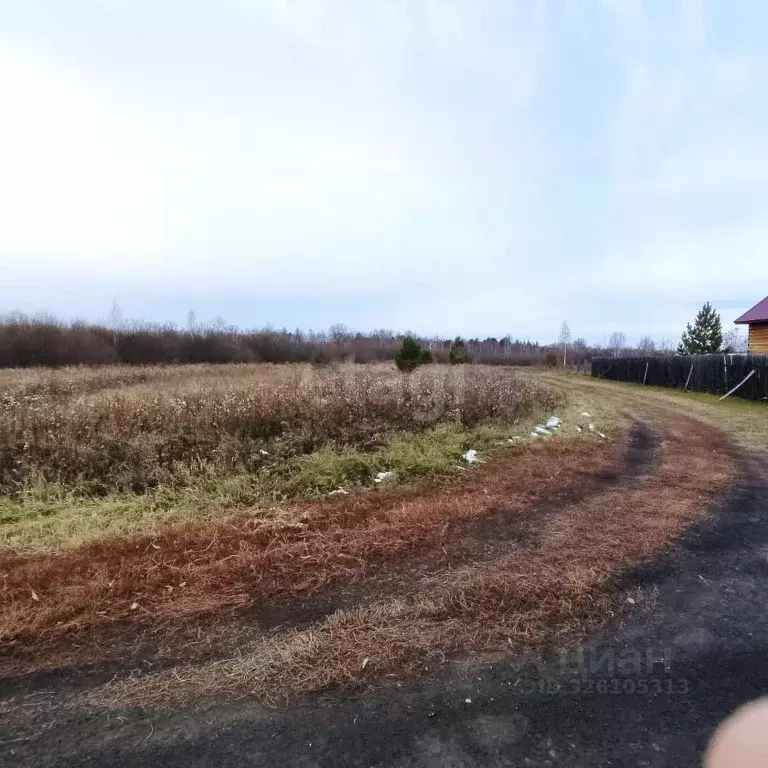 Участок в Свердловская область, Слободо-Туринский район, ... - Фото 2