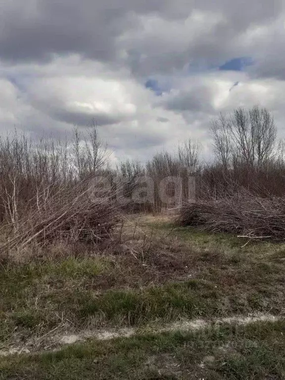 Участок в Ростовская область, Октябрьский район, пос. Персиановский, ... - Фото 1