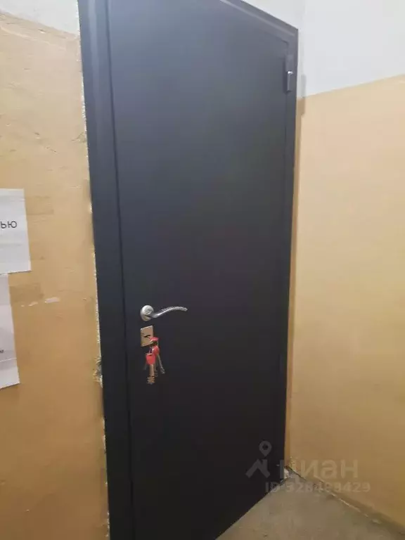 Помещение свободного назначения в Забайкальский край, Горный пгт ул. ... - Фото 1