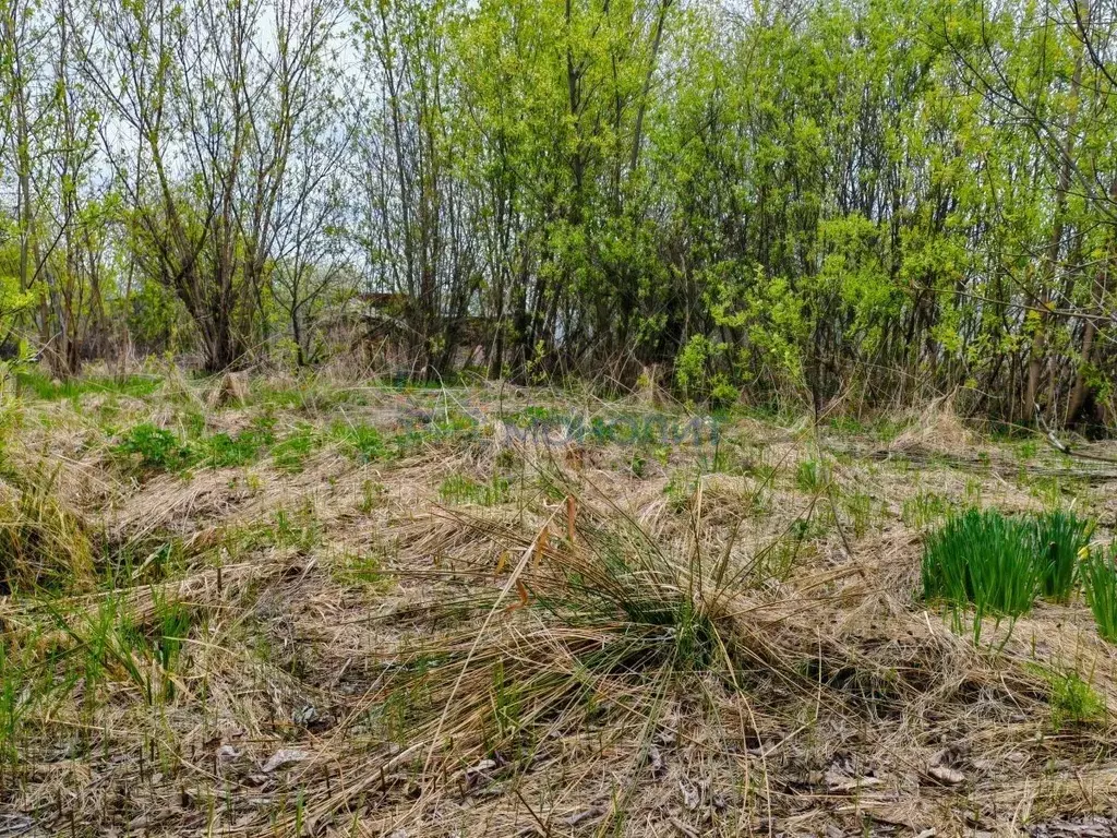 Участок в Нижегородская область, Нижний Новгород Сокол СНТ, №1 сад, ... - Фото 1