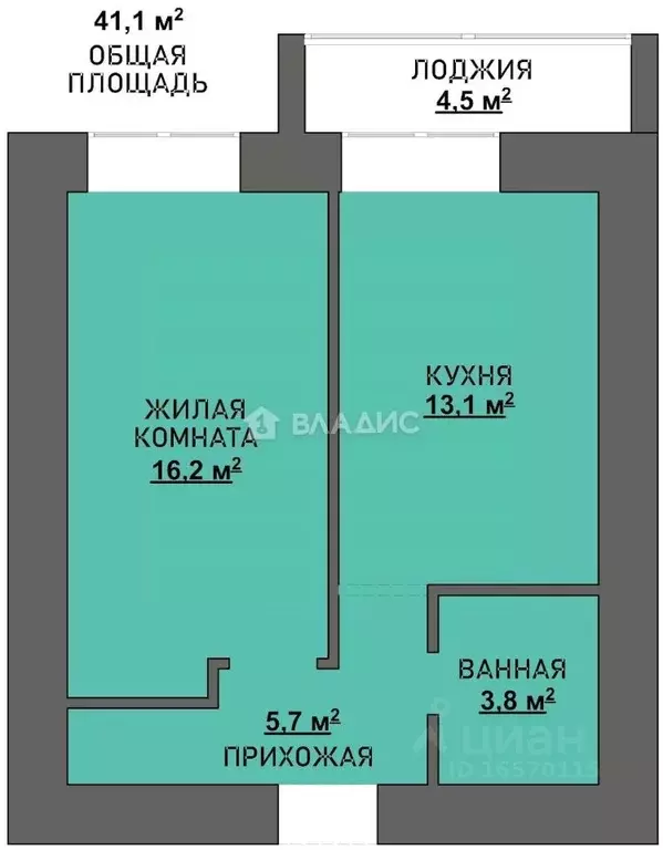 1-к кв. Амурская область, Благовещенский район, с. Чигири ул. ... - Фото 1