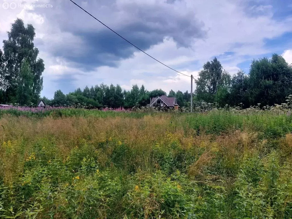 Участок в Московская область, Дмитровский муниципальный округ, СНТ ... - Фото 1