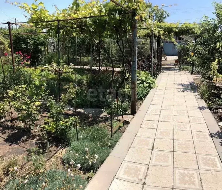 Участок в Крым, Евпатория Дружба СТ, ул. 1-я Аллея (7.35 сот.) - Фото 1