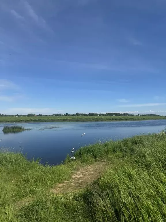 Дом в Псковская область, Псковский муниципальный округ, Ядровская ... - Фото 1