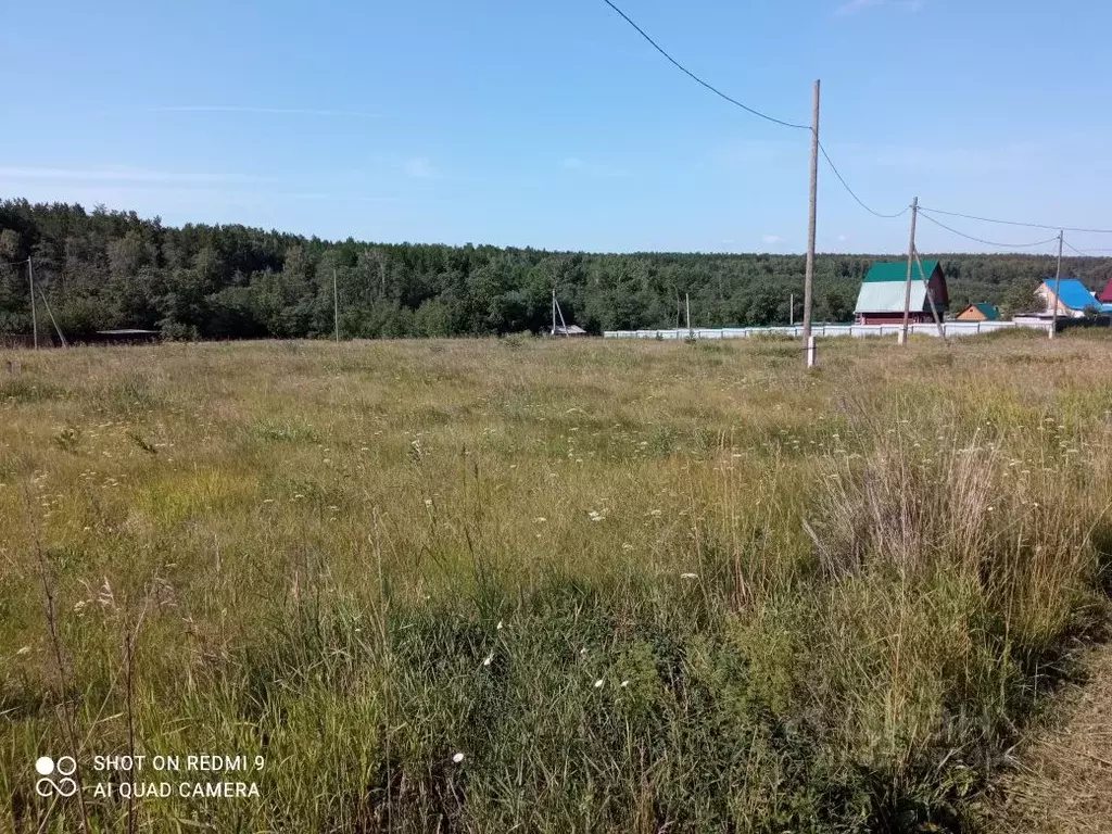 Участок в Свердловская область, Белоярский пгт ул. Свердлова (11.0 ... - Фото 1