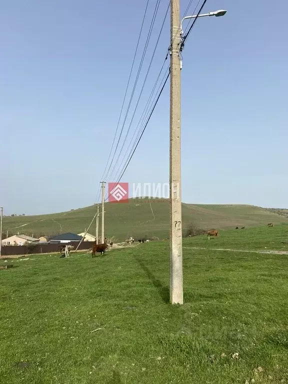 Участок в Севастополь с. Вишневое, ул. Садовая, 4 (8.0 сот.) - Фото 1