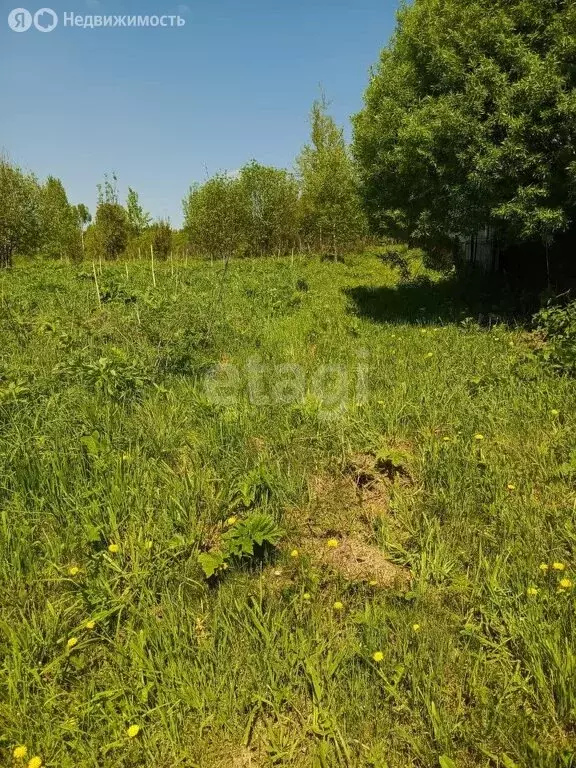 Участок в Кемеровская область, Прокопьевск (5.6 м) - Фото 0