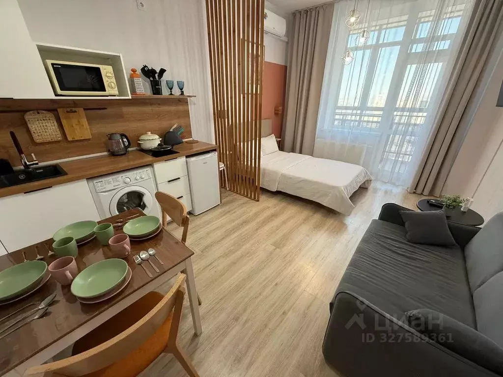 Студия Свердловская область, Екатеринбург пер. Мельковский, 4 (29.0 м) - Фото 2