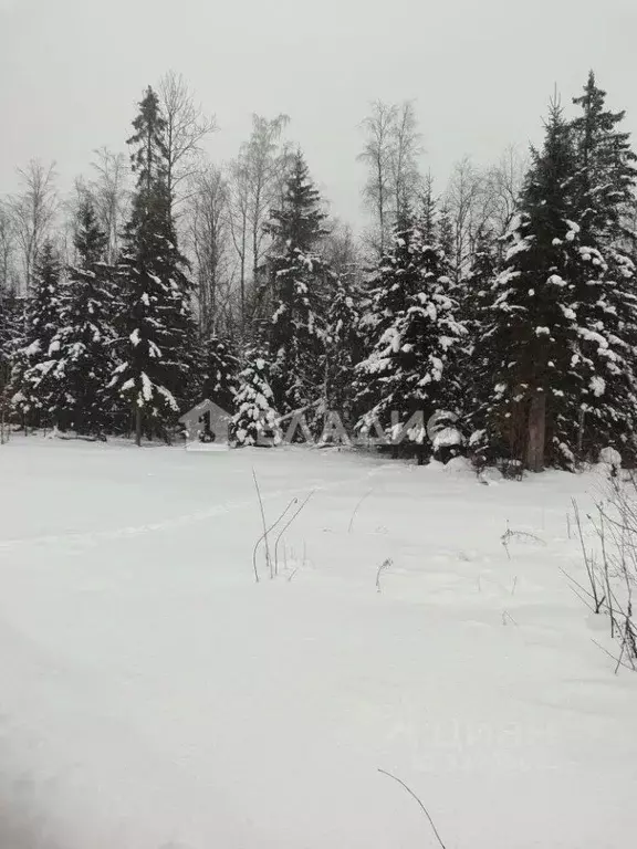 Участок в Ленинградская область, Волховский район, Иссадское с/пос, ... - Фото 1