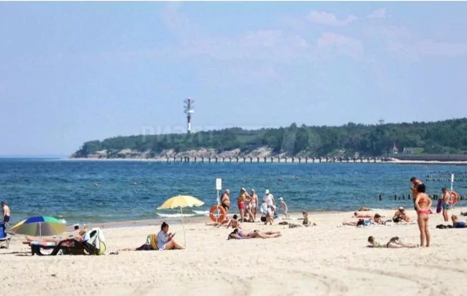 1-к кв. Калининградская область, Пионерский Рабочая ул., 48 (27.0 м) - Фото 0