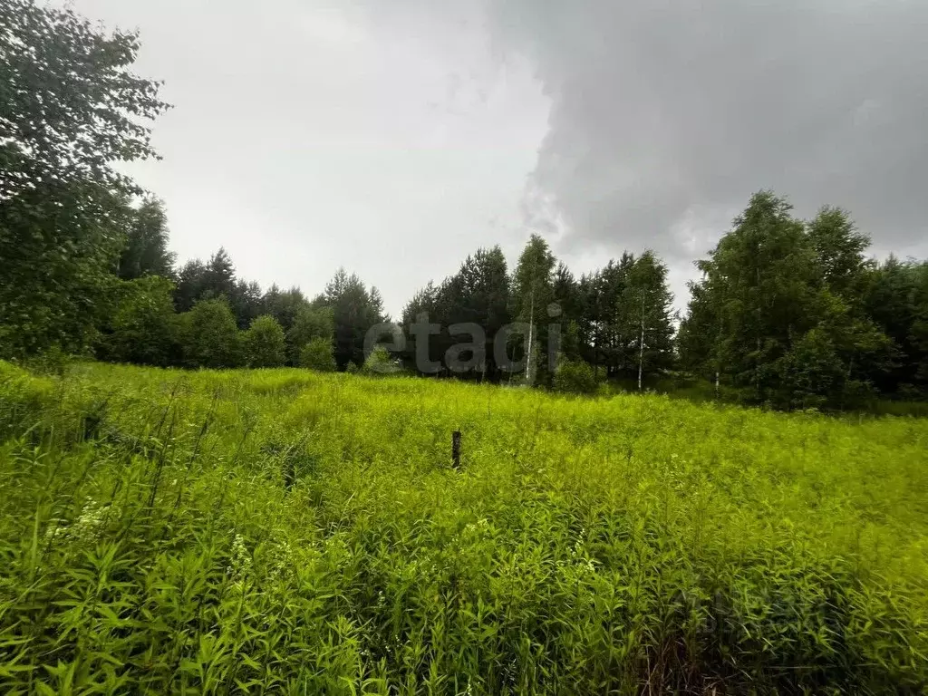 Участок в Татарстан, Зеленодольск Трудовик СНТ,  (5.0 сот.) - Фото 0