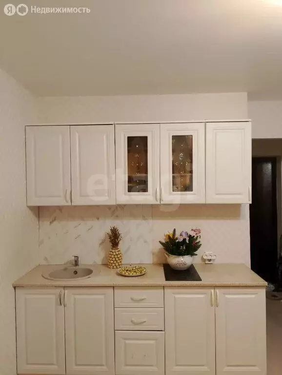 Квартира-студия: посёлок Берёзовый, улица Ивана Кулибина, 6 (19.9 м) - Фото 2