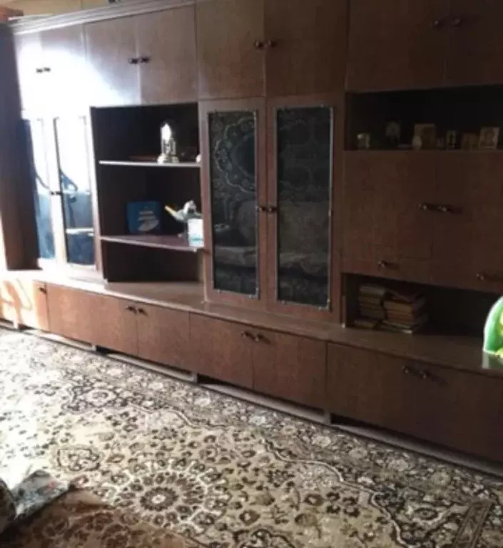 1-к кв. Московская область, Ногинск Богородский городской округ, ул. ... - Фото 1