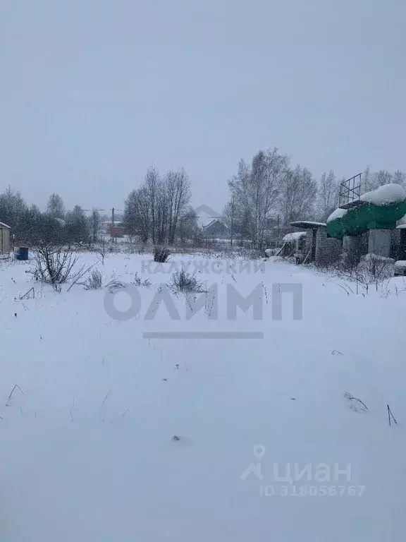 Участок в Калужская область, Перемышльский район, Большие Козлы с/пос, ... - Фото 2