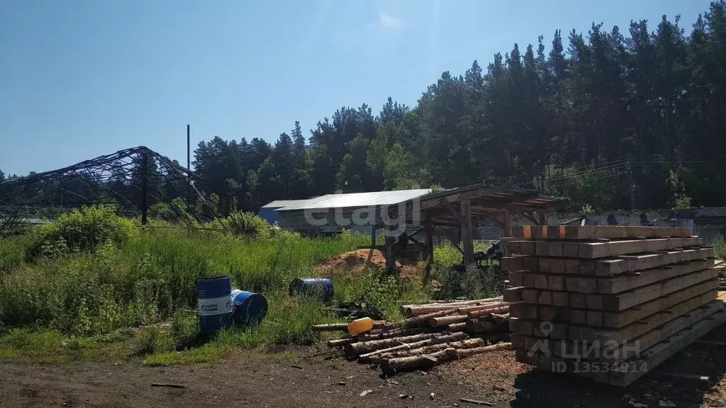 Помещение свободного назначения в Алтайский край, Первомайский район, ... - Фото 1