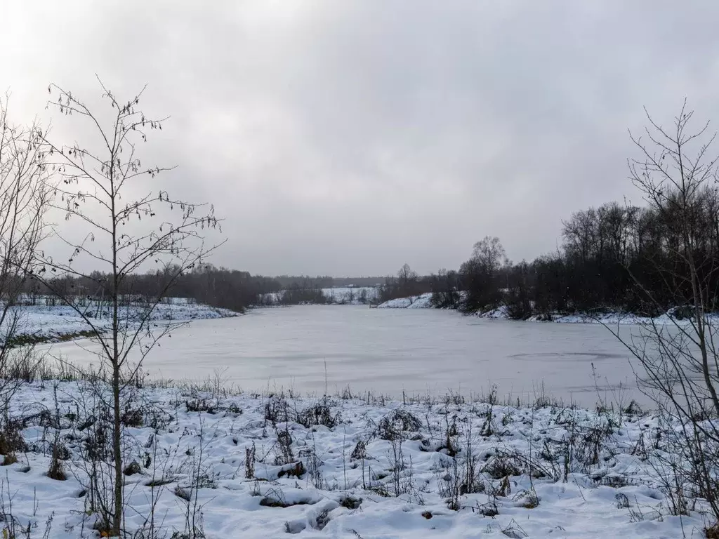 Участок в Московская область, Шаховская городской округ, с. Белая ... - Фото 1