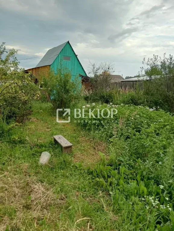 Дом в Костромская область, Кострома Березка-3 СНТ, 74 (20 м) - Фото 1