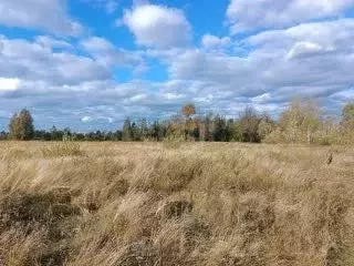 Участок в Курганская область, Курган ул. Зайцева, 51 (6.7 сот.) - Фото 1