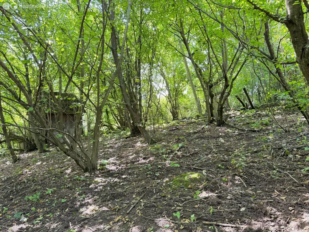 Участок в Белая Речка, улица Биттирова (7.3 м) - Фото 1