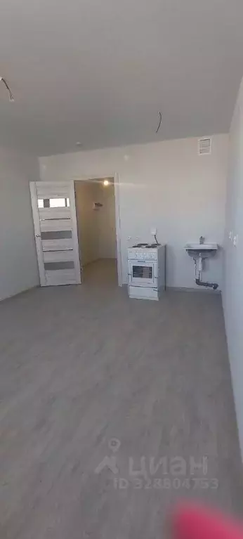 Студия Пермский край, д. Кондратово ул. Водопроводная, 6/2 (25.0 м) - Фото 1