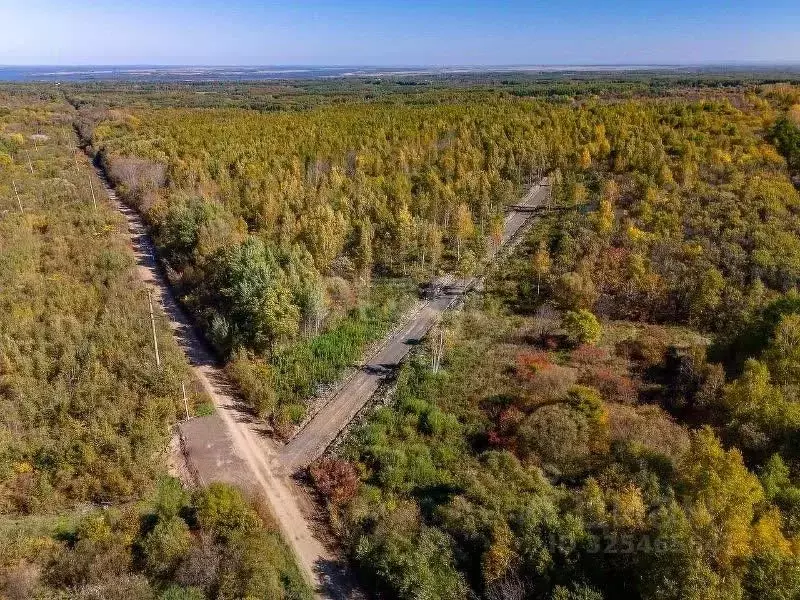 Участок в Хабаровский край, Хабаровский район, Мичуринское с/пос, с. ... - Фото 1
