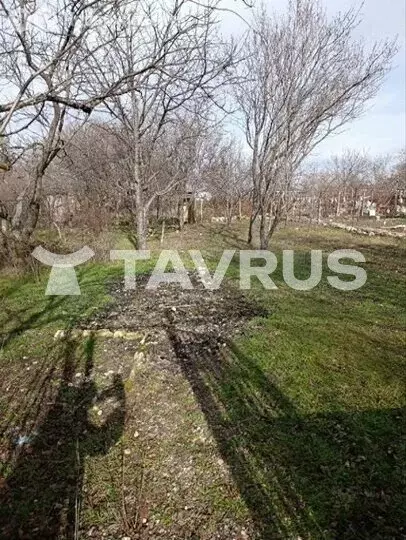 Участок в Урожайновское сельское поселение, ОК СТ Крымсовхозвинпром ... - Фото 2