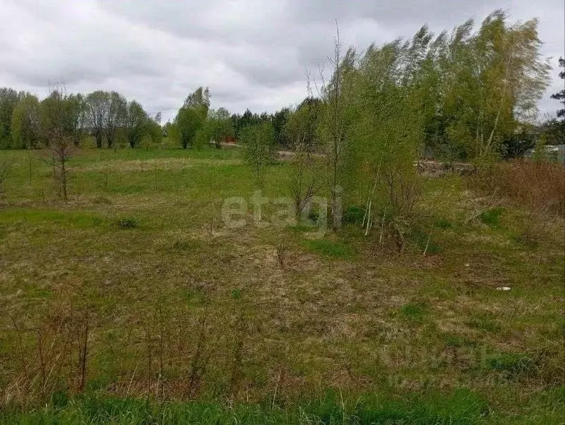 Участок в Костромская область, Кострома Знамя Труда СТ, 63 (4.5 сот.) - Фото 1