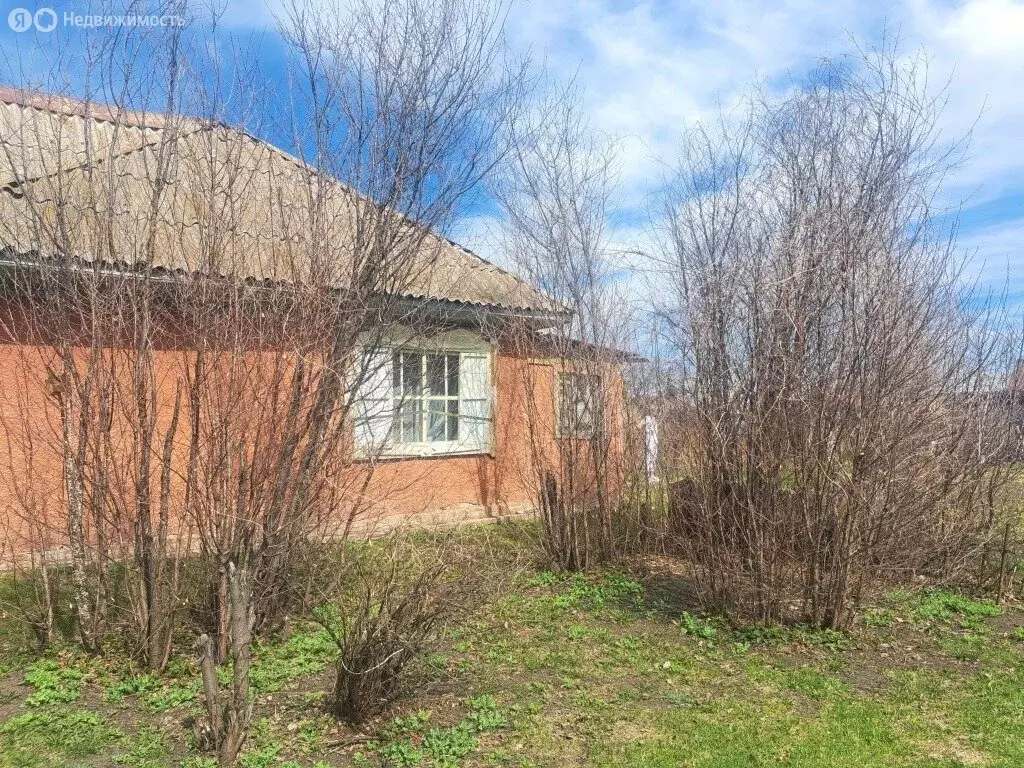 Дом в Барнаул, улица Короленко, 127 (45 м) - Фото 2