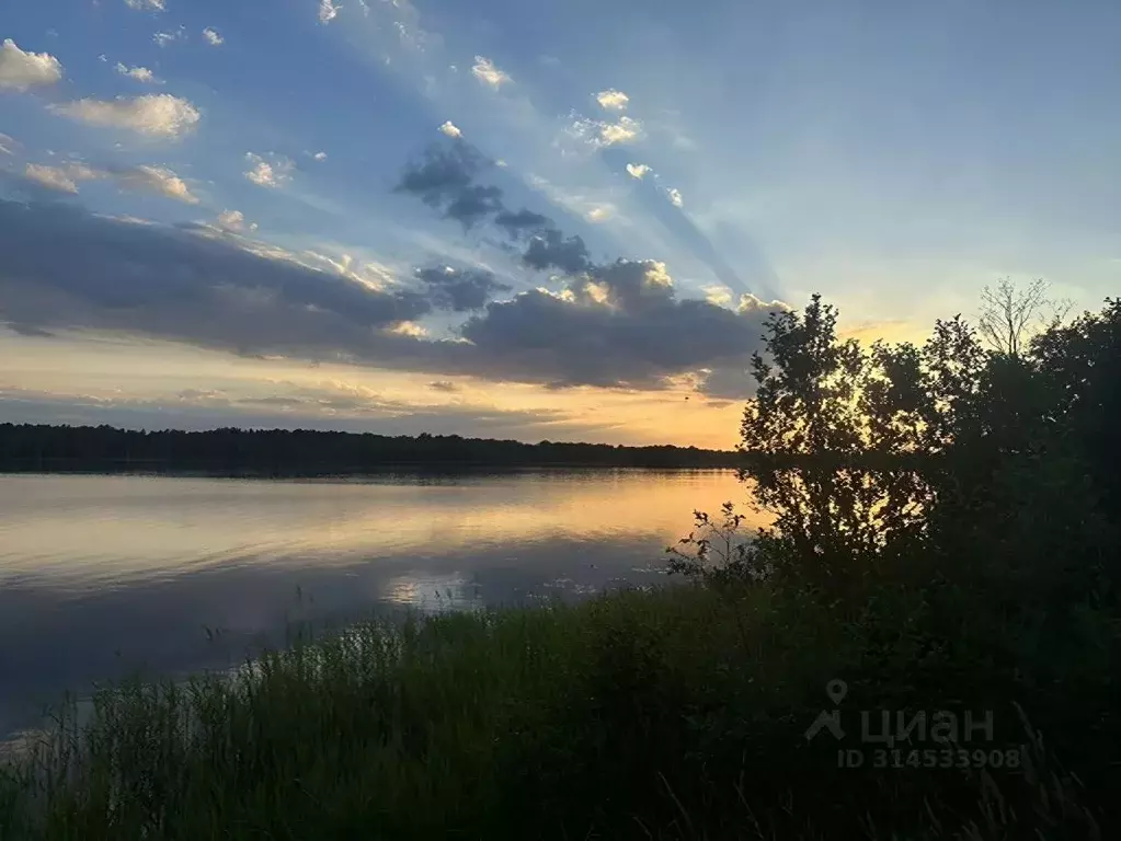 Участок в Новгородская область, Крестецкий муниципальный округ, д. ... - Фото 0