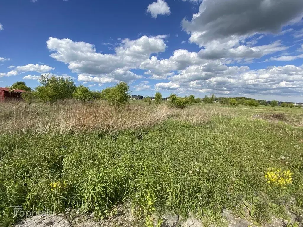 Участок в Калининградская область, Зеленоградский муниципальный округ, ... - Фото 1