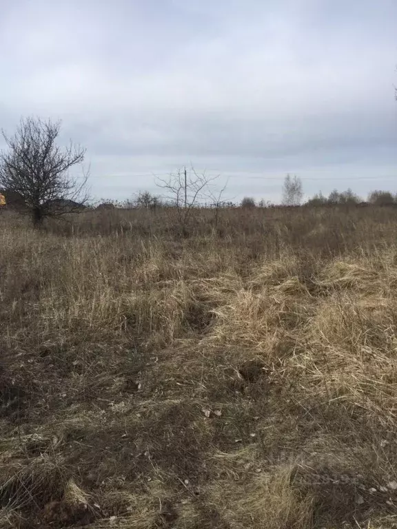 Участок в Московская область, Серебряные Пруды пгт ул. Свободная ... - Фото 0