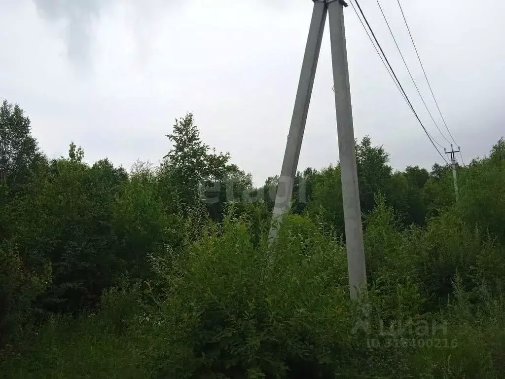 Участок в Амурская область, Благовещенский район, с. Чигири ул. ... - Фото 1