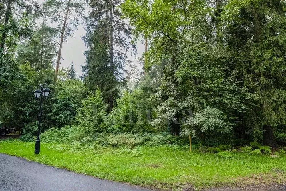 Участок в Московская область, Одинцовский городской округ, д. Дарьино  ... - Фото 1