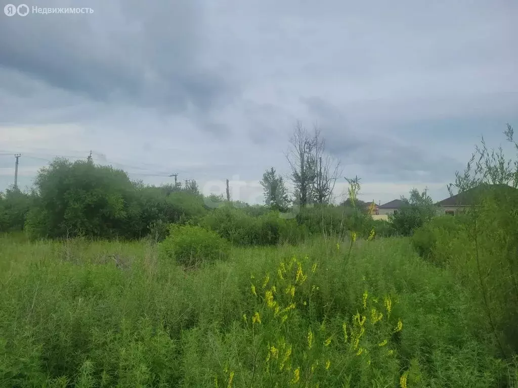 Участок в Амурская область, городской округ Благовещенск, село Садовое ... - Фото 1