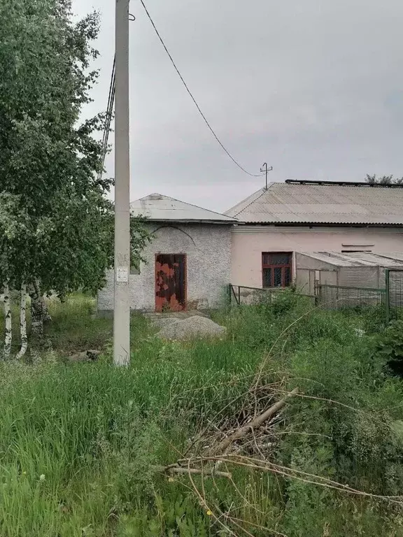 Помещение свободного назначения в Кемеровская область, Белово ул. ... - Фото 1