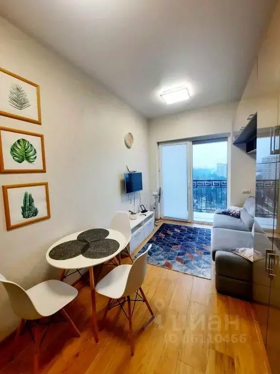 1-к кв. Краснодарский край, Сочи ул. Ленина, 219/6Б (25.0 м) - Фото 0