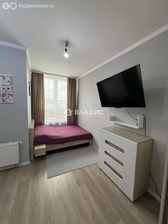 Квартира-студия: посёлок Шушары, улица Нины Петровой, 6к3 (24.9 м) - Фото 2