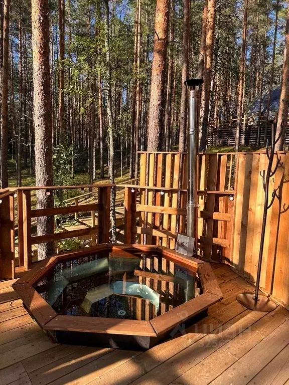 Комната Ленинградская область, Приозерский район, Красноозерное с/пос, ... - Фото 2