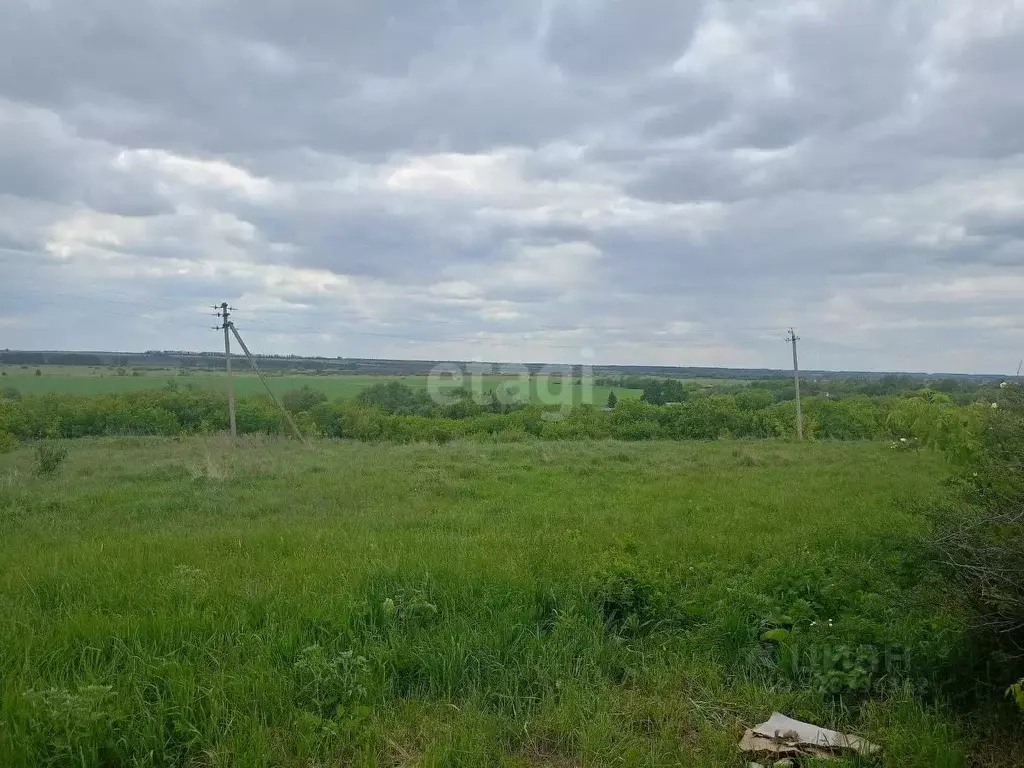 Участок в Воронежская область, Новоусманский район, ... - Фото 1