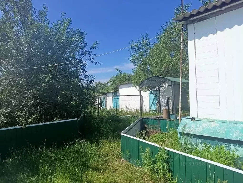 Дом в Белгородская область, Вейделевский район, с. Клименки ул. ... - Фото 1