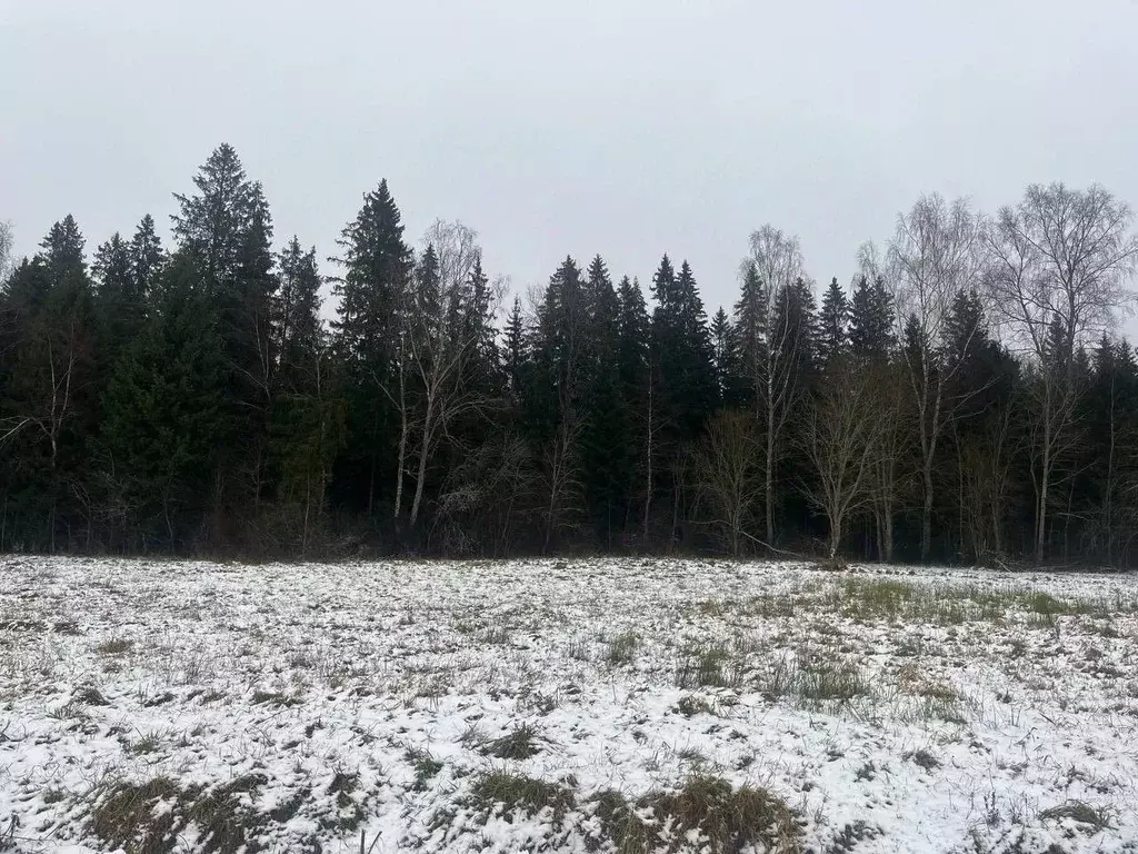 Участок в Московская область, Истра муниципальный округ, д. Давыдково  ... - Фото 2